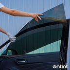 Removable Tints