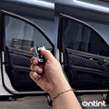 Electronic Tint